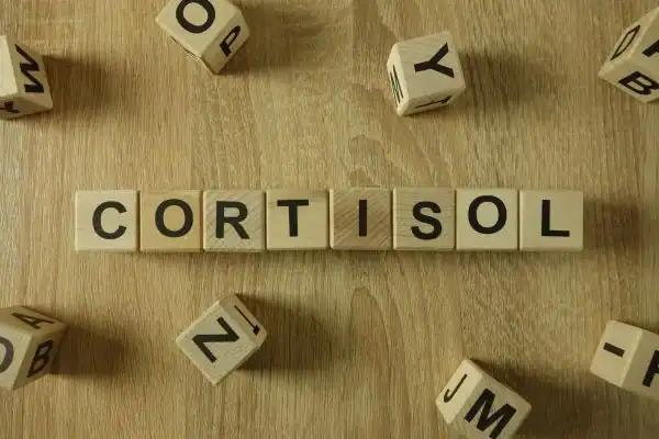 The Hidden Connection: How Stress Shapes Your Fitness and Body Composition 2 Image saying "Cortisol" and how stress Frimley impacts your wellbeing and bodies shape